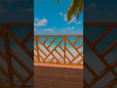 #beach #travel #naveen #blogger 🏖️🏖️🏖️