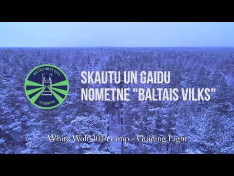 Baltais Vilks