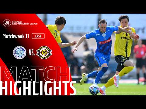 bg-highlight