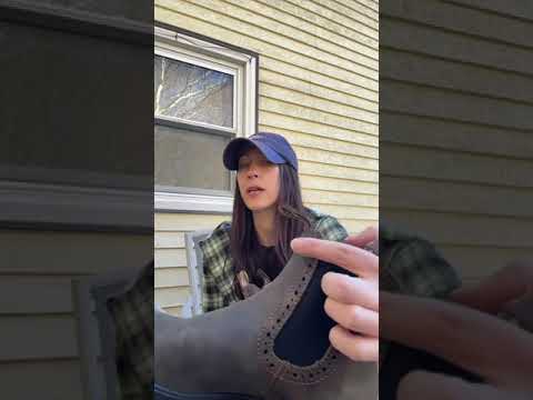 Blundstone Original vs Blundstone High-Top