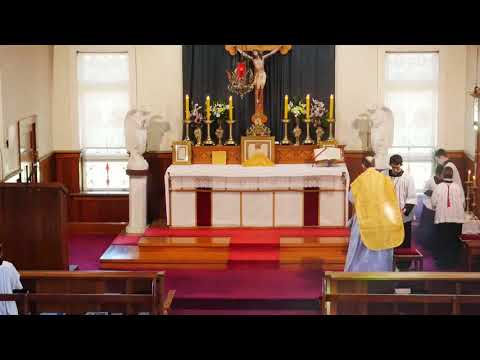 SSPXNZLIVE Livestream - 28 June 2019 High Mass