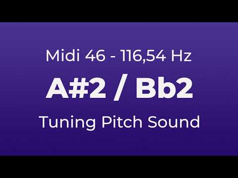 A#2 or Bb2 Tuning Pitch | 116,54 Hz | Midi Key 46