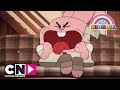 Sok op een stok | De Wonderlijke Wereld van Gumball | Cartoon Network