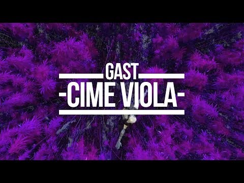 Video thumbnail for Cime Viola