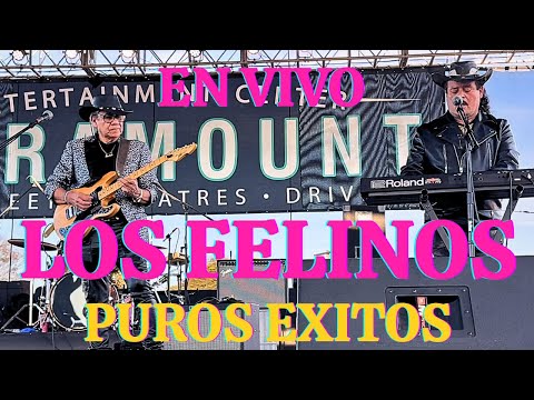 EN VIVO CON LOS FELINOS PARAMOUNT CALIFORNIA, SWAP MEET