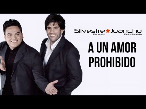 A Un Amor Prohibido - Silvestre Dangond, Video Lyrics (Audio Remasterizado)