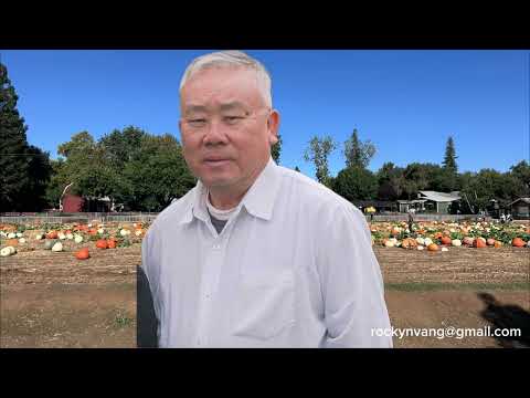 Looj Hawj: Sawv Rog Cob Fab Zos Nab Kuv/Roob Yiag: 1976-1978: 01/05/2026