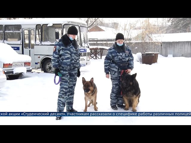 Ангарских студентов познакомили с работой полиции