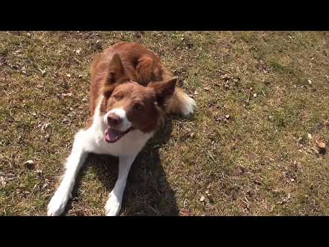 Give me Kisses of Silent Storm