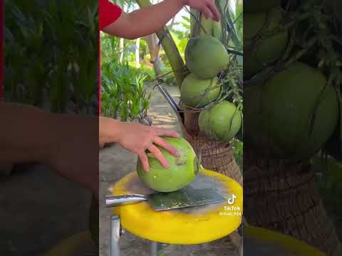 Apa pun makanannya jaran lupa minum kenyamen 😂🤣🤣 #Kelapa_muda