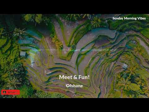 Ofshane - Meet & Fun!  [FREE MUSIC FOR CONTENT USE/NO COPYRIGHT MUSIC]