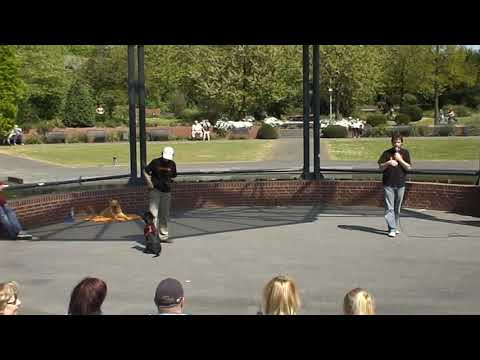 Martin Rütter und Alex Angrick 