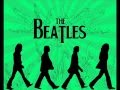 The Beatles - Taxman (Cover) 