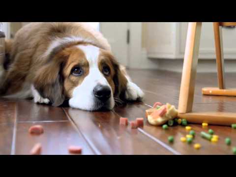 Mixed Up dogggy commercial!