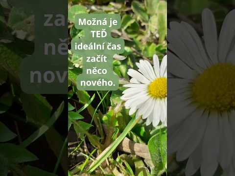 Jaro - ideálně čas na nové začátky!