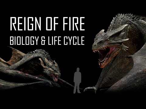 Origins, Biology and Life Cycle - Dragons - Reign of Fire
