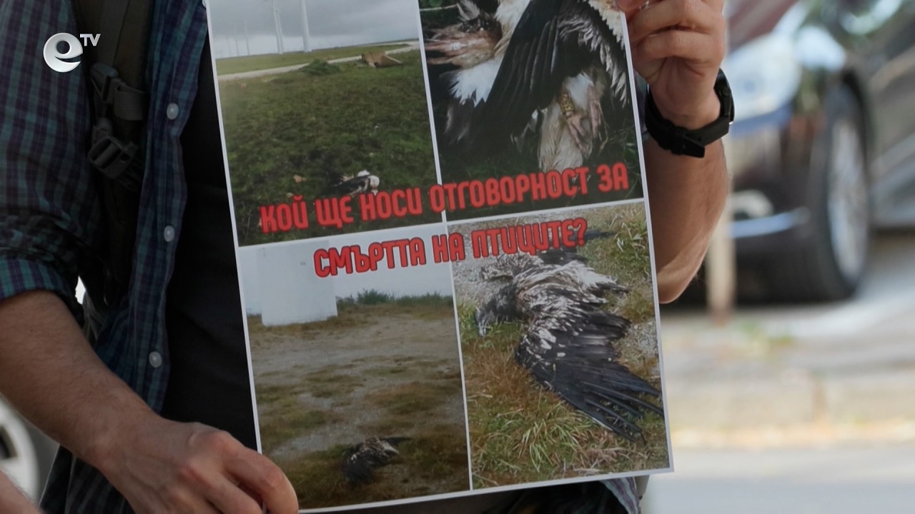 РИОСВ - Хасково не одобри изграждането на ветропарк в  защитена зона „Крумовица“ в Източните Родопи