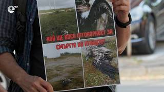 РИОСВ - Хасково не одобри изграждането на ветропарк в  защитена зона „Крумовица“ в Източните Родопи