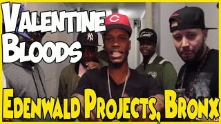 Edenwald Projects in the Bronx, New York; home of the Valentine Bloods