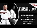Training Secret #8 - GYAKU ZUKI & KIZAMI ZUKI | Variations & Applications in Kumite
