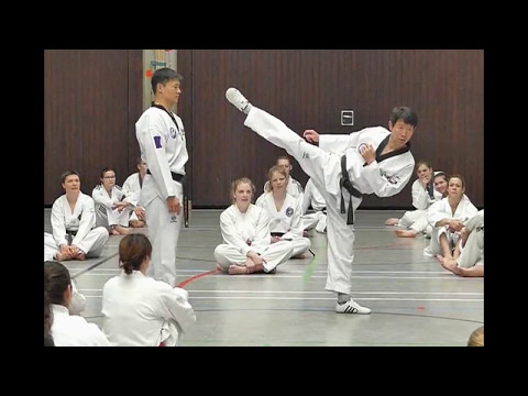 Bundesbreitensportlehrgang Dillingen Grossmeister Jae Hee Chang 8 DAN