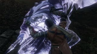 Re: [閒聊] 用PS5重玩隻狼~~