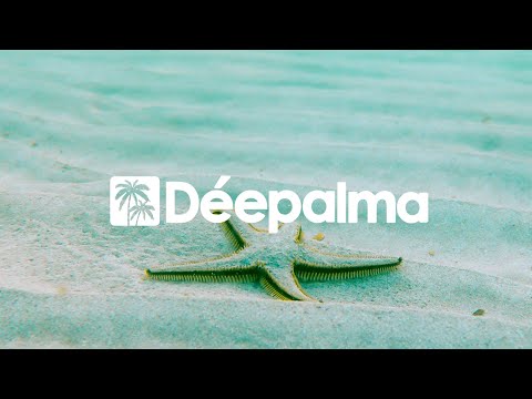 Mika Olson & Jermaine Fleur - What I Need [Déepalma Records]