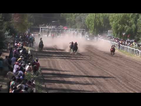 OPTIMUS  Club Hipico "Riveras Neuquinas" -   Vista Alegre -  Neuquen -  22-01-2023