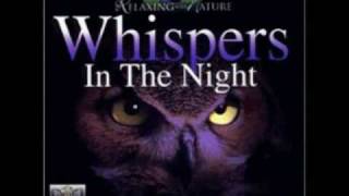 Andres Roca - "Night Owl"