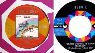 Budgie - Crash Course In Brain Surgery