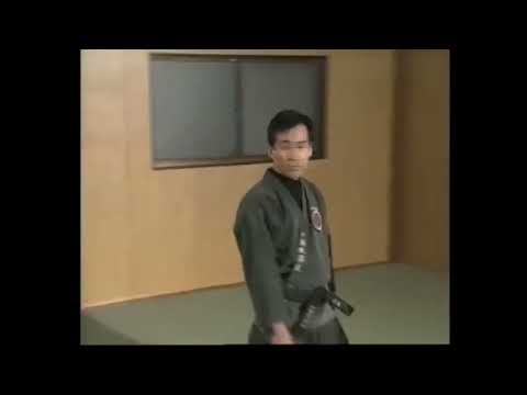 4.6 - KOTO RYU TAIJUTSU - KOPPO JUTSU - Chuden no kata - hitto (hatsumi)