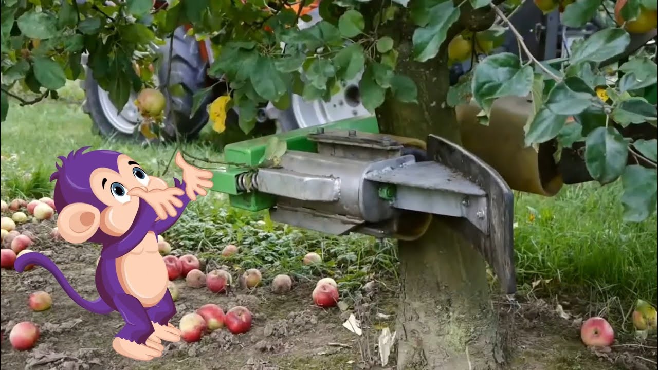 Curious Tots: How Apple Juice is Made | Fun educational documentary videos for toddlers & kids