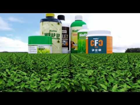 Biofit\'S Soil Health Enhancement Technology (S.H.E.T)