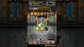 リーズレットはちゃんと編成すれば強し!DQMSL 実況!