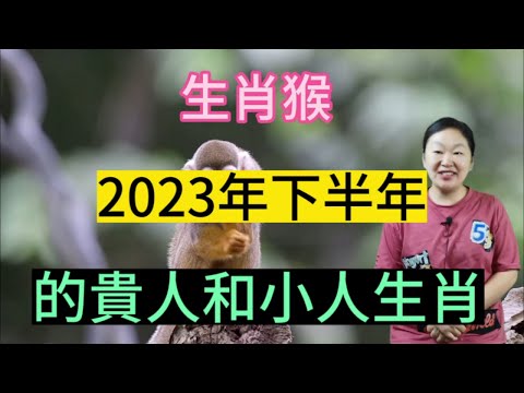 屬猴車牌