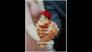 Rose Day Status 2021 Happy Rose Whatsapp Status Rose Day Status 2021| Happy Rose Day Status |