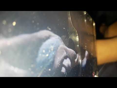 Ice Age 2 The Meltdown Part 13