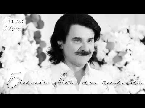 Павло Зібров - Білій цвіт на калині