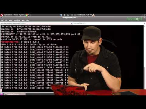 HakTip - Bash Basics: Ping, Date and While