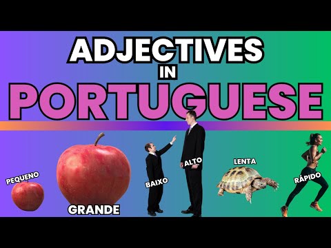 Common Portuguese Adjectives | Beginner and Intermediate Phrases in Portuguese