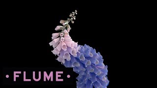 Flume - Lose It feat. Vic Mensa