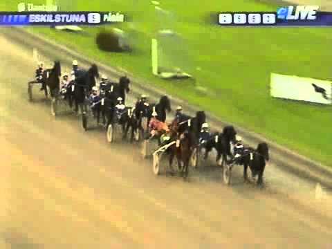 Breeders Crown Sweden 4Y Trot 2011 -Kadett C.D.