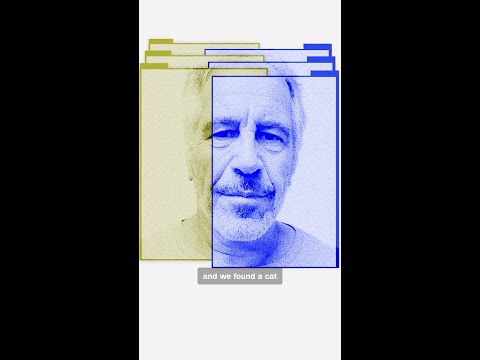 Epstein's final months and how law enforcement closed in