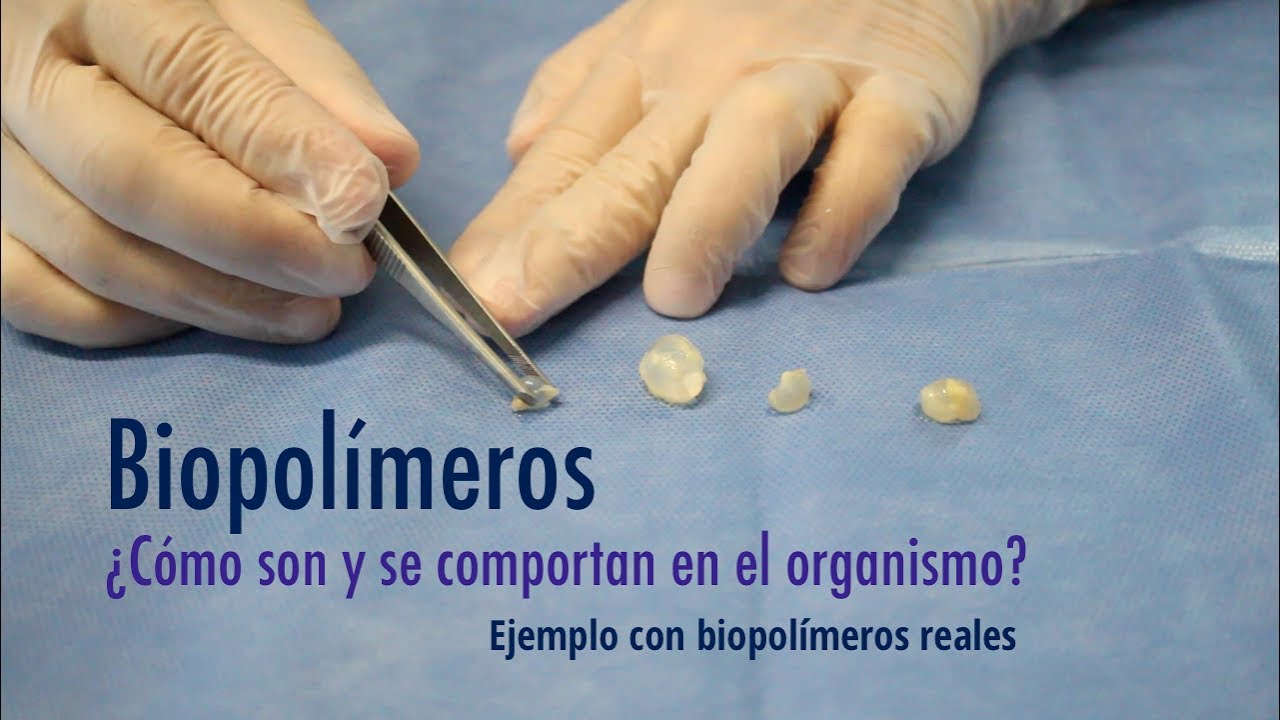 Biopolímeros Capítulo 2: Cómo son y se comportan en el cuerpo. Ejemplo con biopolímeros reales.