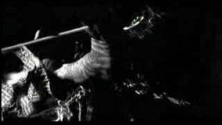 Alexisonfire No transitory