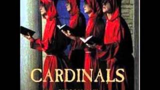 Cardinals - Puudutus (koos Evelin Samueliga)
