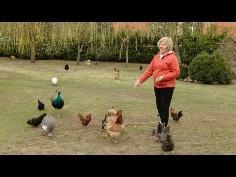 paprasti būdai numesti svorio nemėginant