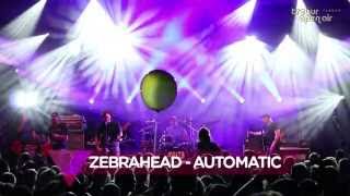 // 22. Trebur Open Air // Zebrahead - Automatic