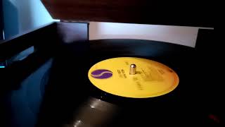 Xmas in February - Lou Reed - New York (1989) vinilo (Sunstech pxr3)