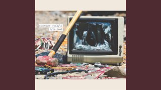 The Brown Recluse Is the New Black Widow